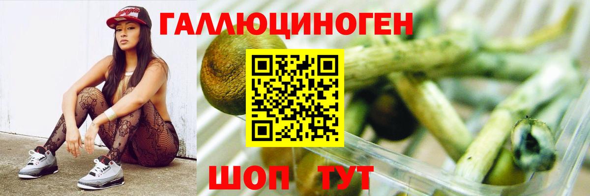 Псилоцибиновые грибы мицелий  Вход с VPN  Заволжье  Псилоцибиновые грибы Psilocybe 