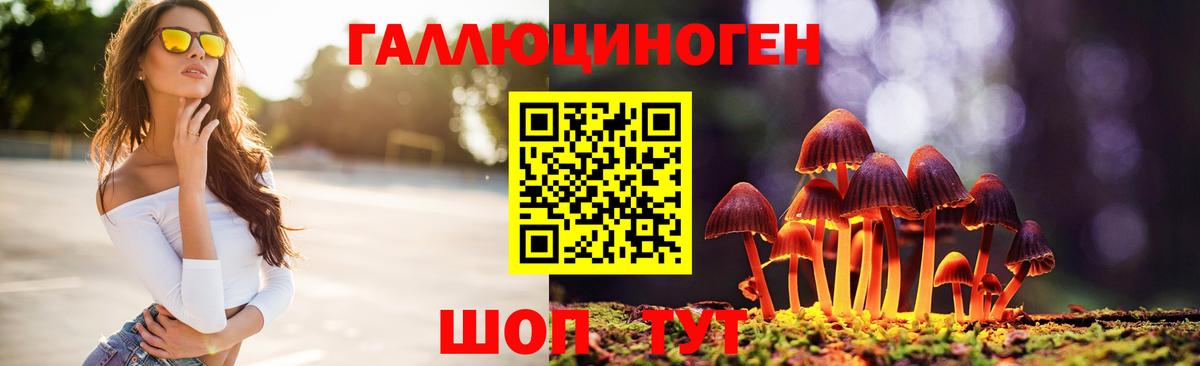 Галлюциногенные грибы Psilocybe Заволжье